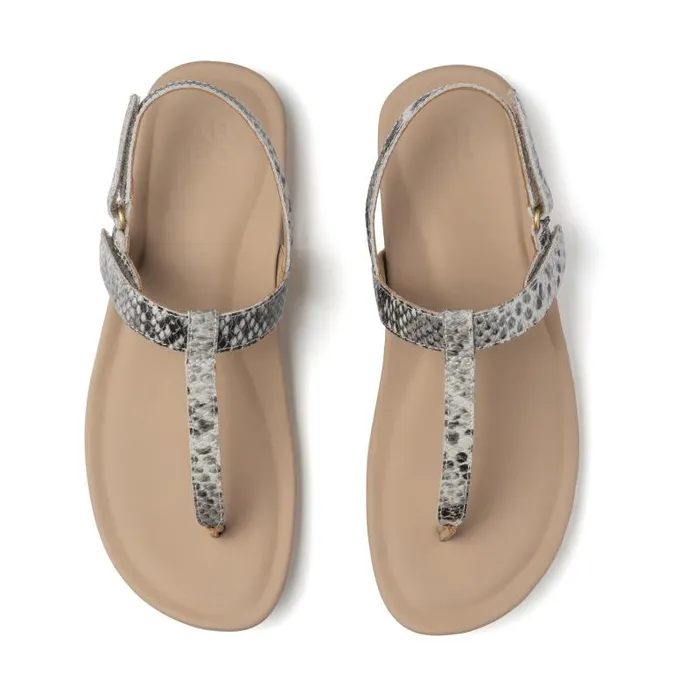 ABEO Oasis T Strap Animal Print Womens Abeo Sandals