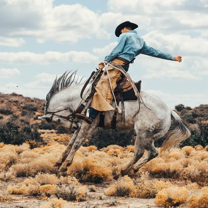 LongSleeved Denim Shirt Blue Men Stetson Western Shirts