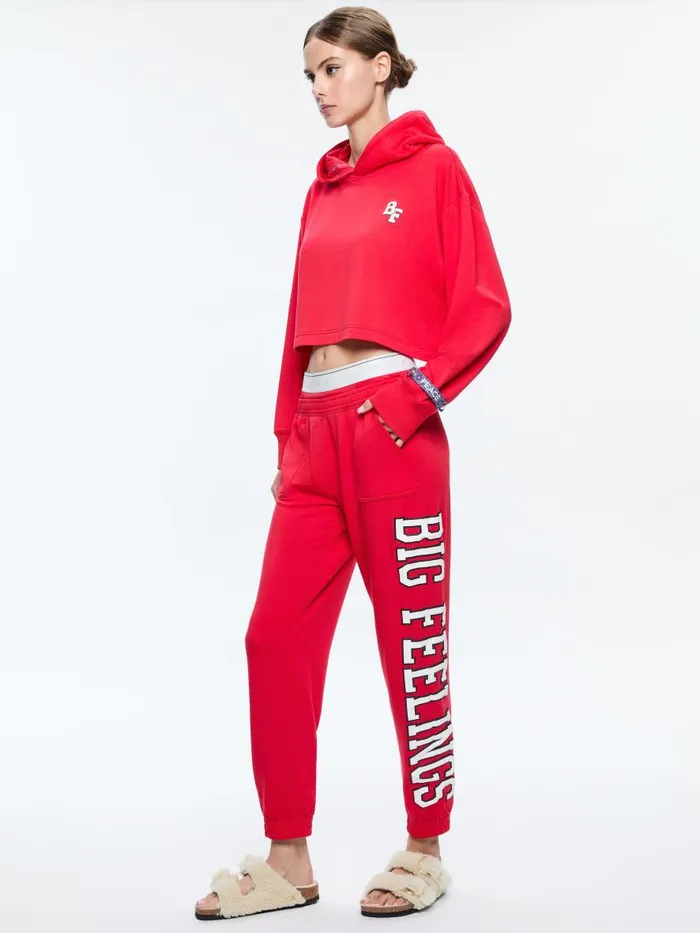 Loungewear Women Alice Olivia AO X BIG FEELINGS TAI CROPPED HOODIE Red
