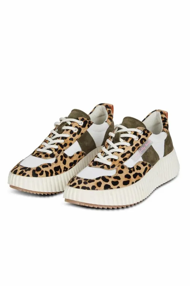 Never Fully Dressed NFD Leopard And Khaki Trainer Women Footwear