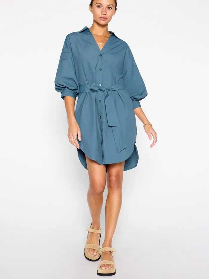 Shop Brochu Walker Dresses The Kate Belted Dress Ocean