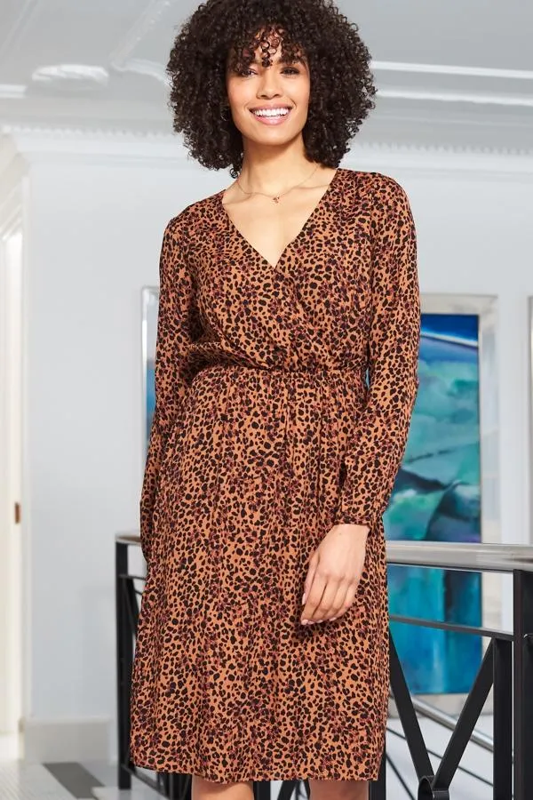 Sosandar Dresses Women Leopard Print V Neck Stretch Waist Dress