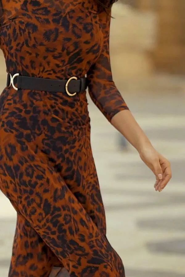 Sosandar Dresses Women Rust Leopard Print Mesh Dress