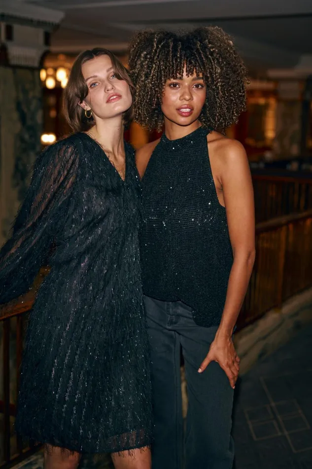 Tops and TShirts Women CULTURE CUalbine Top With Sequins