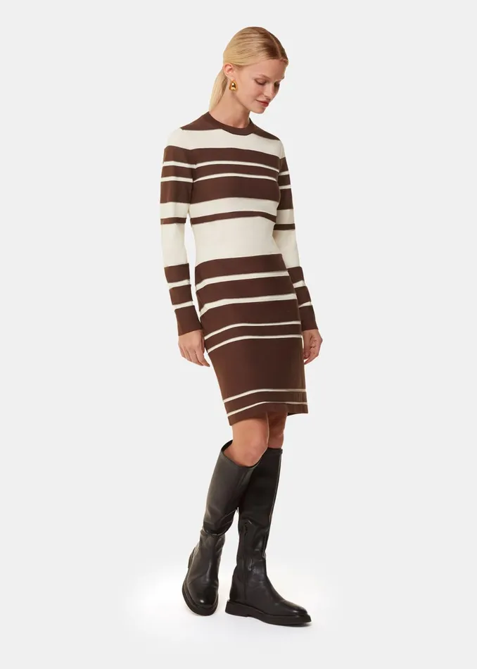 Women Dresses Whistles Brown Variegated Stripe Knit Dress