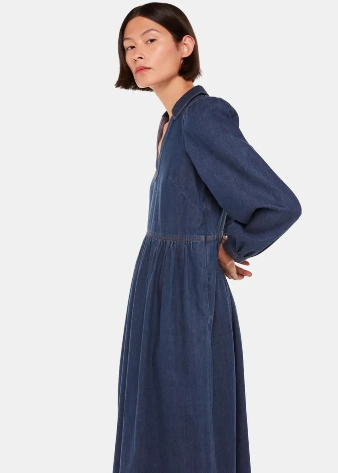 Women Dresses Whistles Denim Rina Trapeze Dress
