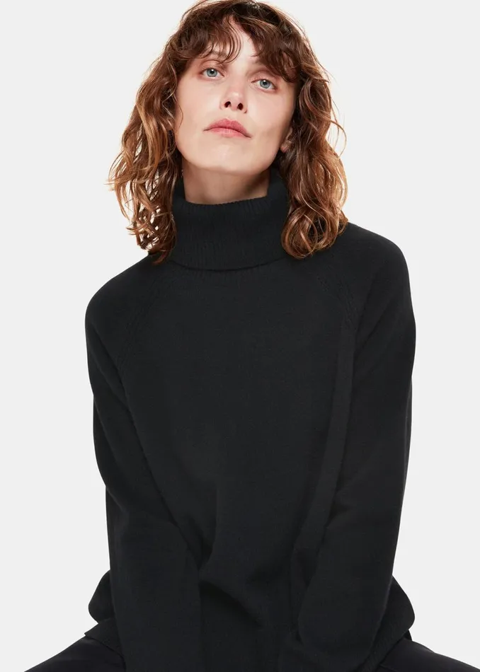 Women Knitwear and Cashmere Whistles Black Cashmere Roll Neck Jumper